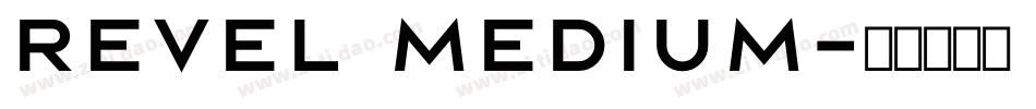 Revel Medium字体转换